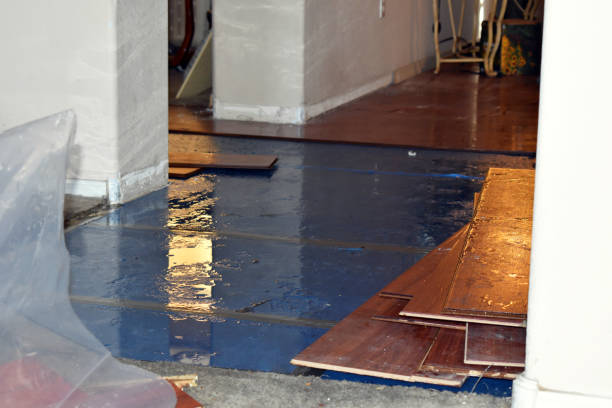 Professional Basement Flood Cleanup technician working in Del Rio, TX